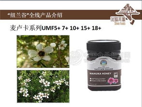 麥盧卡系列蜂蜜 批發(fā)價(jià)格 廠家 圖片 食品招商網(wǎng)