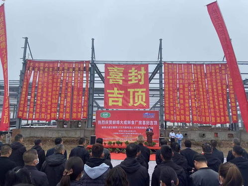 大成食品 鮮食工廠 建設(shè)項(xiàng)目主體結(jié)構(gòu)喜封吉頂