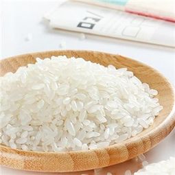 荔豐米業加盟優勢