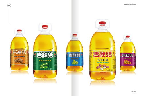 食用油包裝設計 包裝設計 鄭州食品包裝設計 十余年深耕食品行業