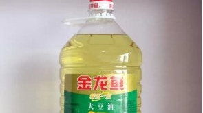 金龍魚