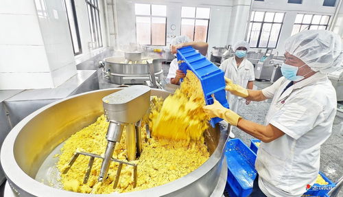 徐聞一食品加工廠 生產線全力恢復