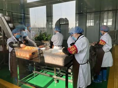 抗疫復工兩不誤!同心縣27家企業有序復工復產