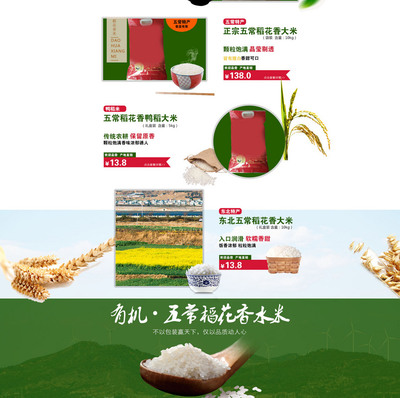 糧油米面模板在線制作設(shè)計_食品茶飲_糧油米面大米綠色自然清新PC全屏PSD模板-90設(shè)計在線編輯器
