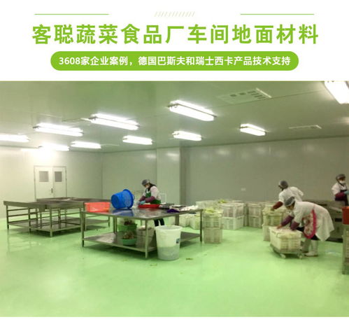 客聰蔬菜食品廠地面材料