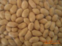 唐山潤澤糧油食品