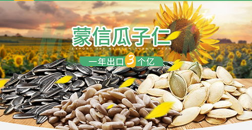 汽車行業(yè)如何玩轉(zhuǎn)抖音 這家企業(yè)利用矩陣增粉50萬