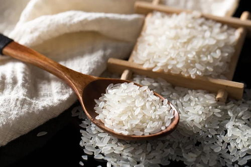 疫情引發 糧食安全 擔憂 糧油企業 無需囤糧
