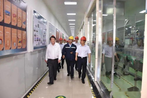 益海嘉里開封食品項目開工建設,周口糧油產業園項目簽約